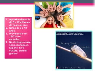 1. Aproximadamente
de 6 a 12 millones
de casos al año.
2. Niños de 3 a 12
años.
3. Prevalencia del
18-33% en
escuelas.
4. No distingue clase
socioeconómica,
higiene, nivel
cultura, edad ni
genero.

 
