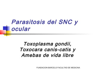 FUNDACION BARCELO FACULTAD DE MEDICINA
Parasitosis del SNC y
ocular
Toxoplasma gondii,
Toxocara canis-catis y
Amebas de vida libre
 