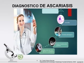 DIAGNOSTICO DE ASCARIASIS
 