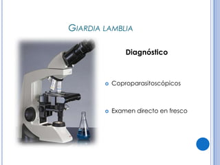 CPHAP 019 Parasitosis en Pediatria