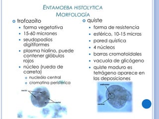 CPHAP 019 Parasitosis en Pediatria
