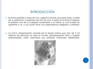 CPHAP 019 Parasitosis en Pediatria