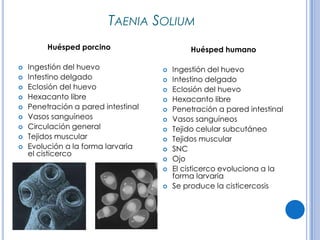CPHAP 019 Parasitosis en Pediatria