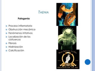 CPHAP 019 Parasitosis en Pediatria