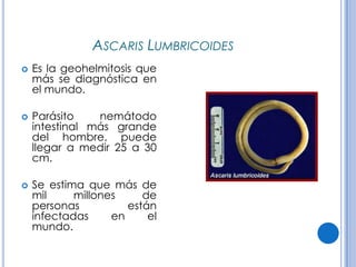 CPHAP 019 Parasitosis en Pediatria