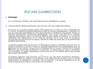 CPHAP 019 Parasitosis en Pediatria
