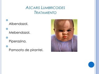 CPHAP 019 Parasitosis en Pediatria