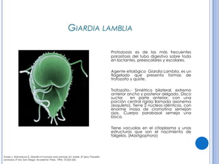 CPHAP 019 Parasitosis en Pediatria