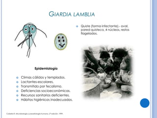 CPHAP 019 Parasitosis en Pediatria