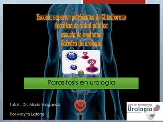 Parasitosis en urología
Tutor : Dr. Mario Braganza
Por Mayra Latorre
 