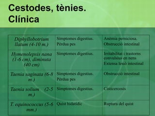 Trematodes, dueles 
