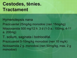 Nematodes, cucs rodons 