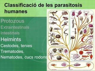 Clínica cardíaca o neurològica. 