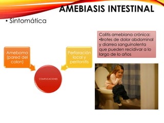 AMEBIASIS INTESTINAL
• Sintomática
COMPLICACIONES
Ameboma
(pared del
colon)
Perforación
local y
peritonitis
Colitis amebiana crónica:
•Brotes de dolor abdominal
y diarrea sanguinolenta
que pueden recidivar a lo
largo de lo años
 