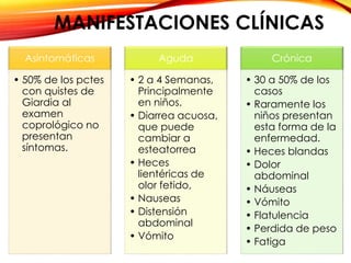 MANIFESTACIONES CLÍNICAS
Asintomáticas
• 50% de los pctes
con quistes de
Giardia al
examen
coprológico no
presentan
síntomas.
Aguda
• 2 a 4 Semanas,
Principalmente
en niños.
• Diarrea acuosa,
que puede
cambiar a
esteatorrea
• Heces
lientéricas de
olor fetido,
• Nauseas
• Distensión
abdominal
• Vómito
Crónica
• 30 a 50% de los
casos
• Raramente los
niños presentan
esta forma de la
enfermedad.
• Heces blandas
• Dolor
abdominal
• Náuseas
• Vómito
• Flatulencia
• Perdida de peso
• Fatiga
 