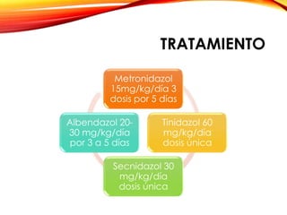 TRATAMIENTO
Metronidazol
15mg/kg/día 3
dosis por 5 días
Tinidazol 60
mg/kg/día
dosis única
Secnidazol 30
mg/kg/día
dosis única
Albendazol 20-
30 mg/kg/día
por 3 a 5 días
 