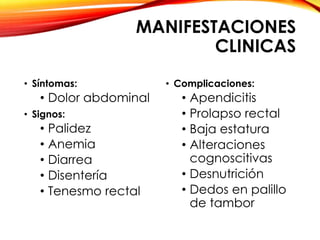 MANIFESTACIONES
CLINICAS
• Síntomas:
• Dolor abdominal
• Signos:
• Palidez
• Anemia
• Diarrea
• Disentería
• Tenesmo rectal
• Complicaciones:
• Apendicitis
• Prolapso rectal
• Baja estatura
• Alteraciones
cognoscitivas
• Desnutrición
• Dedos en palillo
de tambor
 