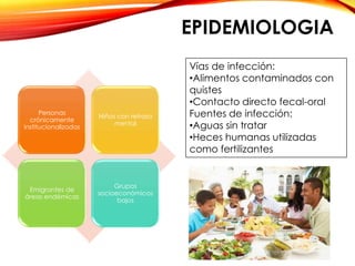 EPIDEMIOLOGIA
Personas
crónicamente
institucionalizadas
Niños con retraso
mental
Emigrantes de
áreas endémicas
Grupos
socioeconómicos
bajos
Vías de infección:
•Alimentos contaminados con
quistes
•Contacto directo fecal-oral
Fuentes de infección:
•Aguas sin tratar
•Heces humanas utilizadas
como fertilizantes
 
