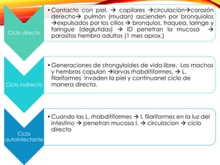 Ciclo directo
•Contacto con piel,  capilares circulacióncorazón
derecho pulmón (mudan) ascienden por bronquiolos
expulsados por los cilios  bronquios, traquea, laringe y
faringue (deglutidas)  ID penetran la mucosa 
parasitos hembra adultos (1 mes aprox.)
Ciclo indirecto
•Generaciones de strongyloides de vida libre. Los machos
y hembras copulan larvas rhabditiformes,  L.
filariformes invaden la piel y continuanel ciclo de
manera directa.
Ciclo
autoinfectante
•Cuando las L. rhabditiformes  l. filariformes en la luz del
intestino  penetran mucosa I.  circulacion  ciclo
directo
 