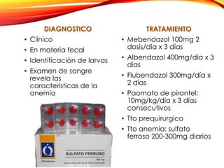 DIAGNOSTICO
• Clínico
• En materia fecal
• Identificación de larvas
• Examen de sangre
revela las
características de la
anemia
TRATAMIENTO
• Mebendazol 100mg 2
dosis/dia x 3 días
• Albendazol 400mg/día x 3
días
• Flubendazol 300mg/día x
2 días
• Paomato de pirantel:
10mg/kg/día x 3 días
consecutivos
• Tto prequirurgico
• Tto anemia: sulfato
ferroso 200-300mg diarios
 