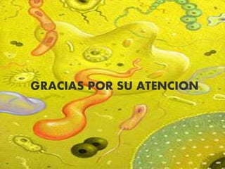 GRACIAS POR SU ATENCION
 
