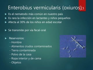 Enterobius vermicularis (oxiuros)
 Es el nematodo más común en nuestro país
 Es rara la infección en lactantes y niños pequeños
 Afecta al 30% de los niños en edad escolar
 Se transmite por vía fecal-oral
 Reservorios:
- Hombre
- Alimentos crudos contaminados
- Tierra contaminada
- Polvo de la casa
- Ropa interior y de cama
- Objetos
13
 