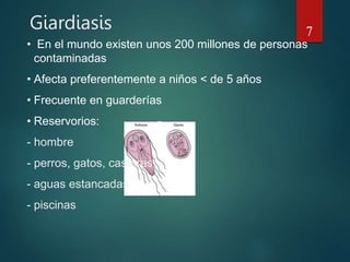 Giardiasis 7
• En el mundo existen unos 200 millones de personas
contaminadas
• Afecta preferentemente a niños < de 5 años
• Frecuente en guarderías
• Reservorios:
- hombre
- perros, gatos, castores
- aguas estancadas
- piscinas
 