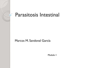 Parasitosis Intestinal



Marcos M. Sandoval García



                       Modulo 1
 