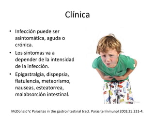 Clínica
• Infección puede ser
asintomática, aguda o
crónica.
• Los síntomas va a
depender de la intensidad
de la infección.
• Epigastralgia, dispepsia,
flatulencia, meteorismo,
nauseas, esteatorrea,
malabsorción intestinal.
McDonald V. Parasites in the gastrointestinal tract. Parasite Immunol 2003;25:231-4.
 