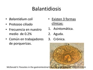 Balantidiosis
• Balantidium coli
• Protozoo ciliado
• Frecuencia en nuestro
medio de 0.2%
• Común en trabajadores
de porquerizas.
• Existen 3 formas
clínicas:
1. Asintomática.
2. Aguda.
3. Crónica.
McDonald V. Parasites in the gastrointestinal tract. Parasite Immunol 2003;25:231-4.
 
