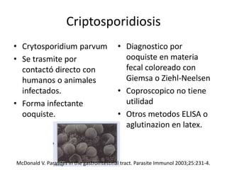 Criptosporidiosis
• Crytosporidium parvum
• Se trasmite por
contactó directo con
humanos o animales
infectados.
• Forma infectante
ooquiste.
• Diagnostico por
ooquiste en materia
fecal coloreado con
Giemsa o Ziehl-Neelsen
• Coproscopico no tiene
utilidad
• Otros metodos ELISA o
aglutinazion en latex.
McDonald V. Parasites in the gastrointestinal tract. Parasite Immunol 2003;25:231-4.
 