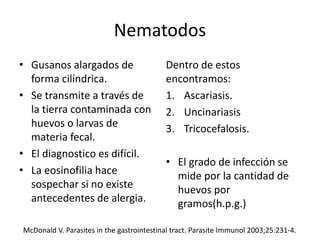 Nematodos
• Gusanos alargados de
forma cilíndrica.
• Se transmite a través de
la tierra contaminada con
huevos o larvas de
materia fecal.
• El diagnostico es difícil.
• La eosinofilia hace
sospechar si no existe
antecedentes de alergia.
Dentro de estos
encontramos:
1. Ascariasis.
2. Uncinariasis
3. Tricocefalosis.
• El grado de infección se
mide por la cantidad de
huevos por
gramos(h.p.g.)
McDonald V. Parasites in the gastrointestinal tract. Parasite Immunol 2003;25:231-4.
 