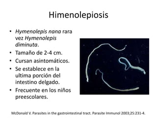 Himenolepiosis
• Hymenolepis nana rara
vez Hymenolepis
diminuta.
• Tamaño de 2-4 cm.
• Cursan asintomáticos.
• Se establece en la
ultima porción del
intestino delgado.
• Frecuente en los niños
preescolares.
McDonald V. Parasites in the gastrointestinal tract. Parasite Immunol 2003;25:231-4.
 