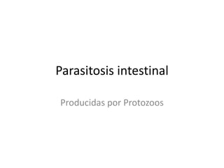 Parasitosis intestinal
Producidas por Protozoos
 