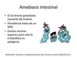 Amebiasis intestinal
• Es la tercera parasitosis
causante de muerte.
• Prevalencia hasta de un
50%.
• Existen muchas
especies pero solo la
E.histolitica es
patógena.
McDonald V. Parasites in the gastrointestinal tract. Parasite Immunol 2003;25:231-4.
 