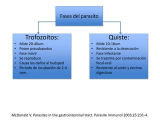 Fases del parasito
Trofozoitos:
• Mide 20-40um
• Posee pseudopodos
• Fase móvil
• Se reproduce
• Causa los daños al huésped
• Periodo de incubación de 2-4
sem.
Quiste:
• Mide 10-18um
• Resistente a la desecación
• Fase infectante
• Se trasmite por contaminación
fecal-oral
• Resistente al acido y enzima
digestivas
McDonald V. Parasites in the gastrointestinal tract. Parasite Immunol 2003;25:231-4.
 