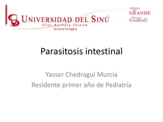 Parasitosis intestinal
Yasser Chedragui Murcia
Residente primer año de Pediatría
 