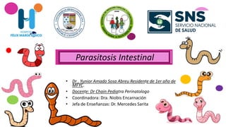 Parasitosis Intestinal
• Dr . Yunior Amado Sosa Abreu Residente de 1er año de
MFYC.
• Docente: Dr Chain Pediatra Perinatologo
• Coordinadora: Dra. Niobis Encarnación
• Jefa de Enseñanzas: Dr. Mercedes Sarita
Parasitosis Intestinal
 