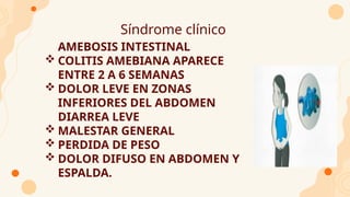 Síndrome clínico
● AMEBOSIS INTESTINAL
 COLITIS AMEBIANA APARECE
ENTRE 2 A 6 SEMANAS
 DOLOR LEVE EN ZONAS
INFERIORES DEL ABDOMEN
 DIARREA LEVE
 MALESTAR GENERAL
 PERDIDA DE PESO
 DOLOR DIFUSO EN ABDOMEN Y
ESPALDA.
 