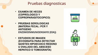 Pruebas diagnosticas
• EXAMEN DE HECES
(COPROLOGICO Y
COPROPARASITOCOPICO)
• PRUEBAS SEROLOGICAS
(MATERIA FECAL: PCR Y
ANTIGENO
ENZIMOINMUNOENSAYO [EIA])
• ESTUDIOS DE IMAGEN
(ECOGRAFÍA PARA DETECTAR
QUISTES HIPOECOICO REDONO
U OVALADO DEL ABSCESO
HEPATICO O TOMOGRAFÍA)
 