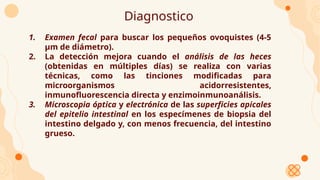 Diagnostico
1. Examen fecal para buscar los pequeños ovoquistes (4-5
µm de diámetro).
2. La detección mejora cuando el análisis de las heces
(obtenidas en múltiples días) se realiza con varias
técnicas, como las tinciones modificadas para
microorganismos acidorresistentes,
inmunofluorescencia directa y enzimoinmunoanálisis.
3. Microscopia óptica y electrónica de las superficies apicales
del epitelio intestinal en los especímenes de biopsia del
intestino delgado y, con menos frecuencia, del intestino
grueso.
 