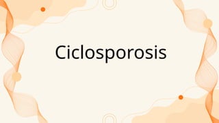 Ciclosporosis
 