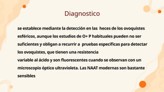 Diagnostico
se establece mediante la detección en las heces de los ovoquistes
esféricos, aunque los estudios de O+ P habituales pueden no ser
suficientes y obligan a recurrir a pruebas específicas para detectar
los ovoquistes, que tienen una resistencia
variable al ácido y son fluorescentes cuando se observan con un
microscopio óptico ultravioleta. Las NAAT modernas son bastante
sensibles
 