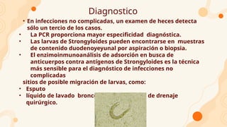 Diagnostico
• En infecciones no complicadas, un examen de heces detecta
sólo un tercio de los casos.
• La PCR proporciona mayor especificidad diagnóstica.
• Las larvas de Strongyloides pueden encontrarse en muestras
de contenido duodenoyeyunal por aspiración o biopsia.
• El enzimoinmunoanálisis de adsorción en busca de
anticuerpos contra antígenos de Strongyloides es la técnica
más sensible para el diagnóstico de infecciones no
complicadas
sitios de posible migración de larvas, como:
• Esputo
• líquido de lavado broncoalveolar o líquido de drenaje
quirúrgico.
 
