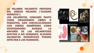 LA PALABRA HELMINTO PROVIENE
DEL GRIEGO HELMINS ("GUSANO
PARÁSITO").
LOS HELMINTOS, COMUNES TANTO
COMO ORGANISMOS LIBRES O
PARÁSITOS, HAN COEVOLUCIONADO
CON VARIOS MAMÍFEROS COMO
HOSPEDADORES AUNQUE LA
MAYORÍA DE LAS HELMINTOSIS
AFECTAN A NO HUMANOS, ALGUNOS
HELMINTOS ZOONÓTICOS PUEDEN
INFECTAR A LOS HUMANOS.
 