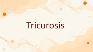 Tricurosis
 