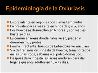  Es prevalente en regiones con climas templados.
 La prevalencia es más alta en niños de 5 – 14 años.
 Los huevos se desarrollan en 6 horas y son viables
hasta 20 días.
 Es común en áreas donde niños viven, juegan y
duermen muy juntos.
 Forma infectante: huevos de Enterobius vermicularis.
 Vía de transmisión: ingesta de huevos, transportados
en las uñas, ropa, sábanas o el polvo doméstico.
 Después de la ingesta las larvas maduran para dar
lugar a gusanos adultos en 36 – 53 días.
 