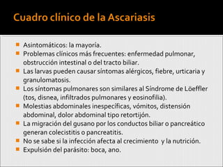  Asintomáticos: la mayoría.
 Problemas clínicos más frecuentes: enfermedad pulmonar,
obstrucción intestinal o del tracto biliar.
 Las larvas pueden causar síntomas alérgicos, fiebre, urticaria y
granulomatosis.
 Los síntomas pulmonares son similares al Síndrome de Löeffler
(tos, disnea, infiltrados pulmonares y eosinofilia).
 Molestias abdominales inespecíficas, vómitos, distensión
abdominal, dolor abdominal tipo retortijón.
 La migración del gusano por los conductos biliar o pancreático
generan colecistitis o pancreatitis.
 No se sabe si la infección afecta al crecimiento y la nutrición.
 Expulsión del parásito: boca, ano.
 