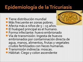  Tiene distribución mundial
 Más frecuente en zonas pobres.
 Afecta más a niños de 5 – 15 años.
 El huésped principal es el humano.
 Forma infectante: huevo embrionado
 Vía de transmisión: Ingesta de huevos
embrionados por contaminación directa de
agua, manos, alimentos, frutas y vegetales
crudos fertilizados con heces humanas.
 Transmisión indirecta: moscas.
 Hábitat: Ciego y colon ascendente
 