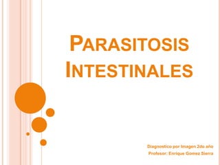 PARASITOSIS
INTESTINALES

Diagnostico por Imagen 2do año
Profesor: Enrique Gomez Sierra

 